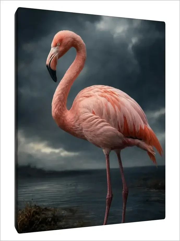 Leinwand Kunstdruck | Wildlife