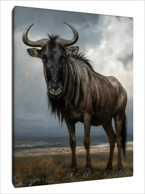 Leinwand Kunstdruck | Wildlife