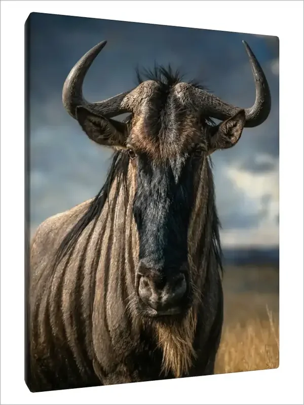 Leinwand Kunstdruck | Wildlife