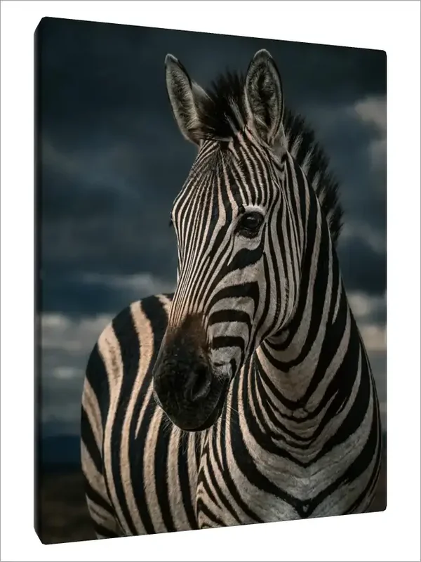 Leinwand Kunstdruck | Wildlife