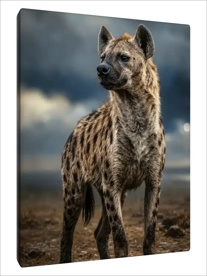 Leinwand Kunstdruck | Wildlife