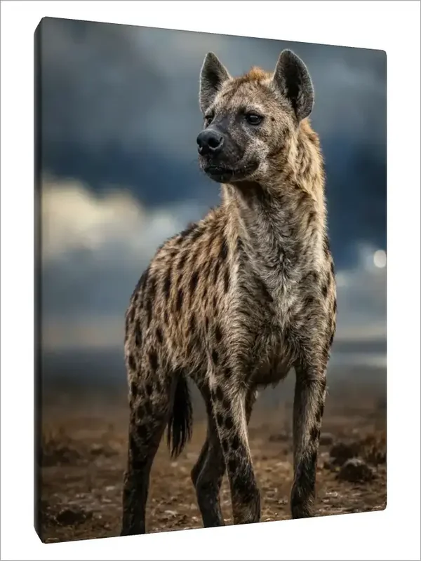 Leinwand Kunstdruck | Wildlife