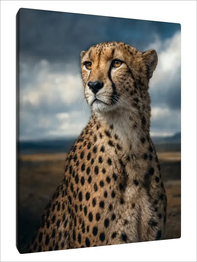 Leinwand Kunstdruck | Wildlife