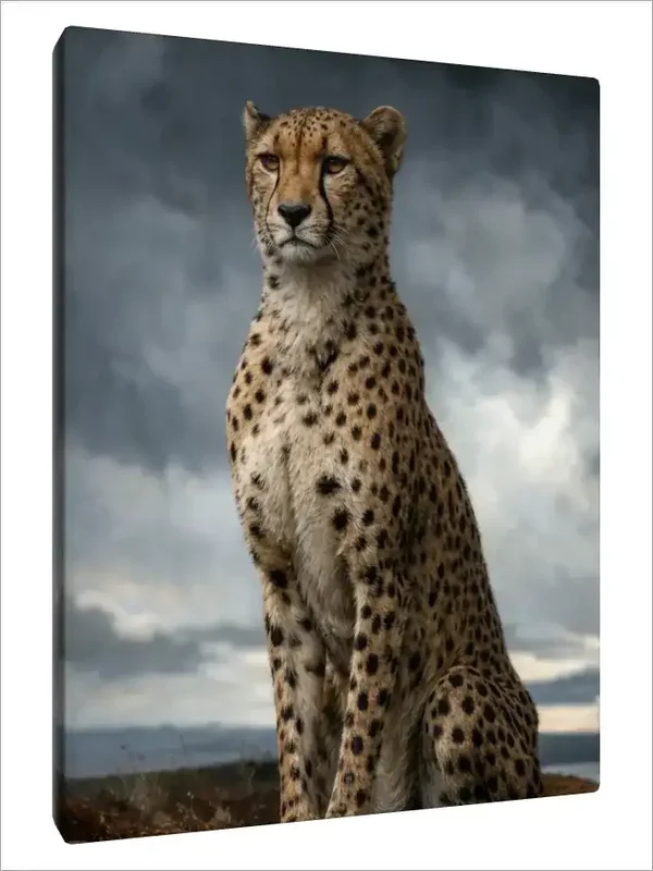 Leinwand Kunstdruck | Wildlife