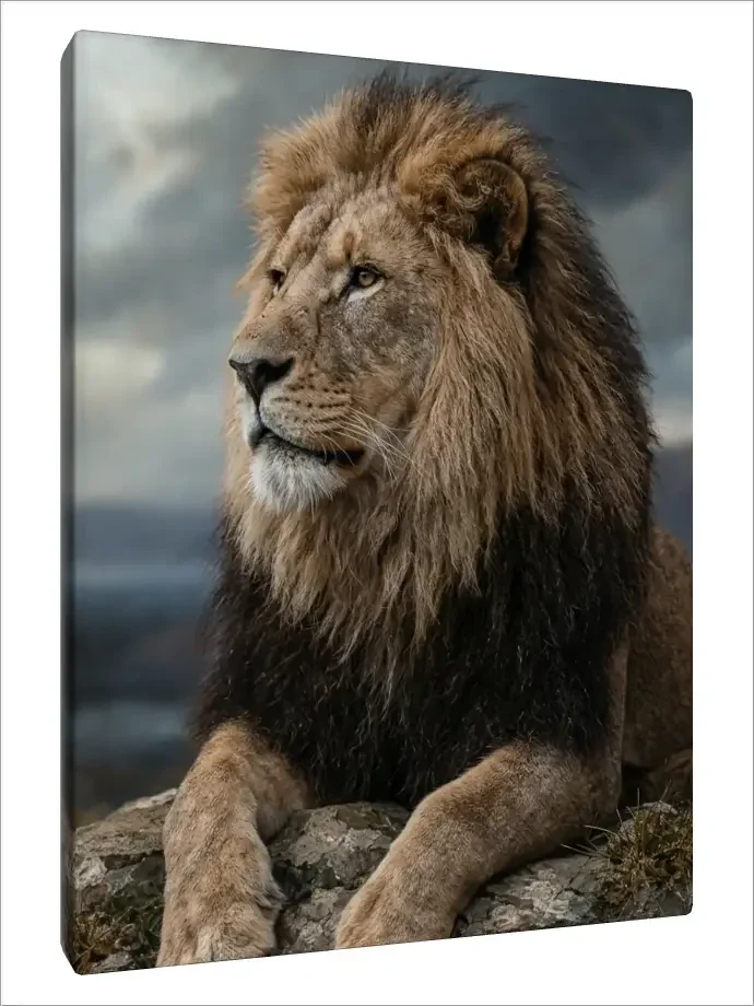 Leinwand Kunstdruck | Wildlife