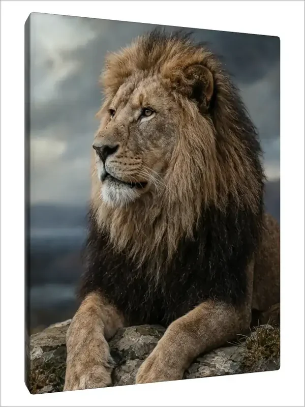 Leinwand Kunstdruck | Wildlife