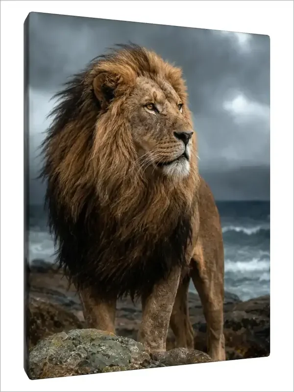 Leinwand Kunstdruck | Wildlife