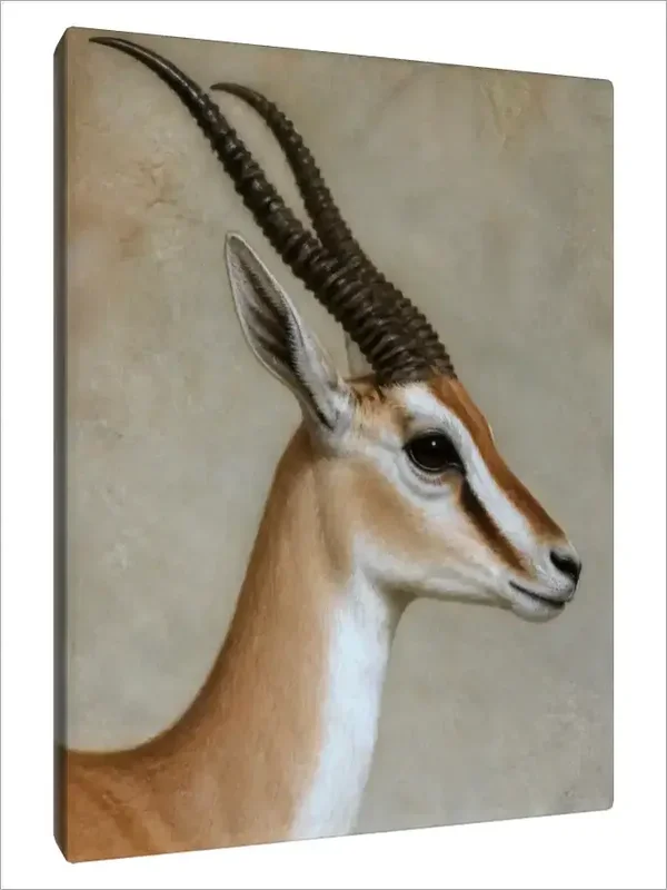 Leinwand Kunstdruck | Wildlife