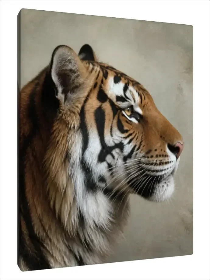Leinwand Kunstdruck | Wildlife