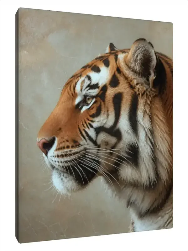 Leinwand Kunstdruck | Wildlife