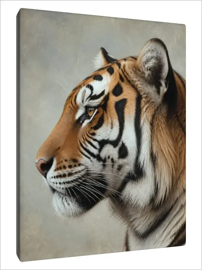 Leinwand Kunstdruck | Wildlife