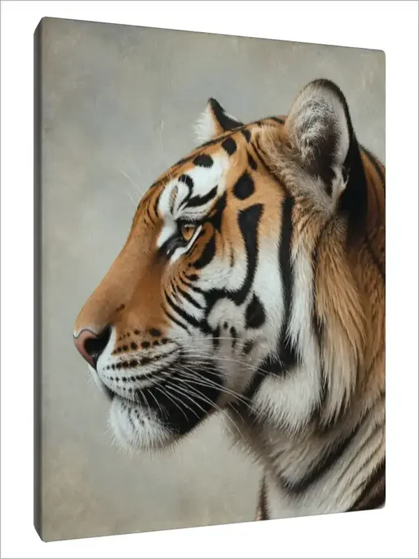 Leinwand Kunstdruck | Wildlife