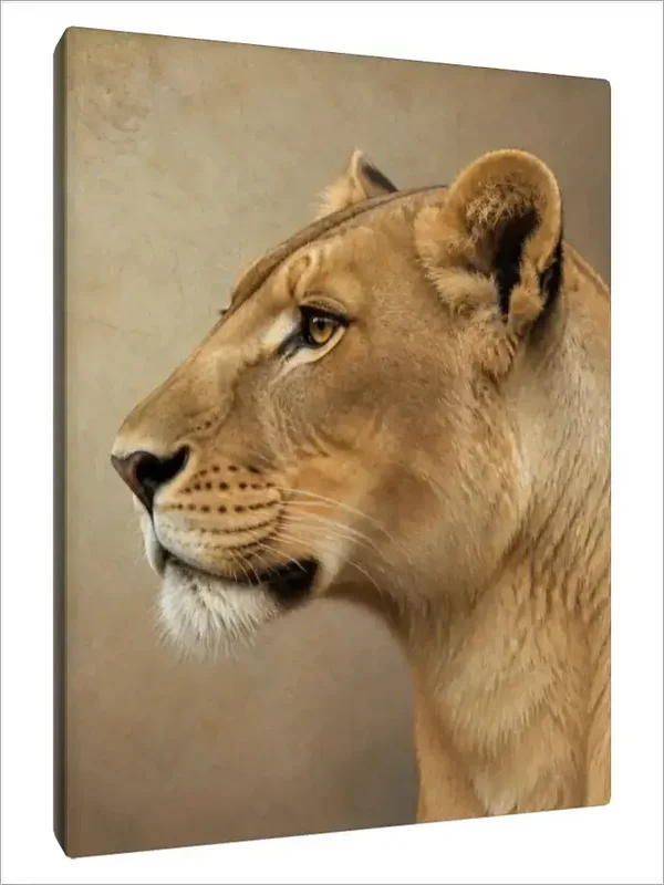 Leinwand Kunstdruck | Wildlife
