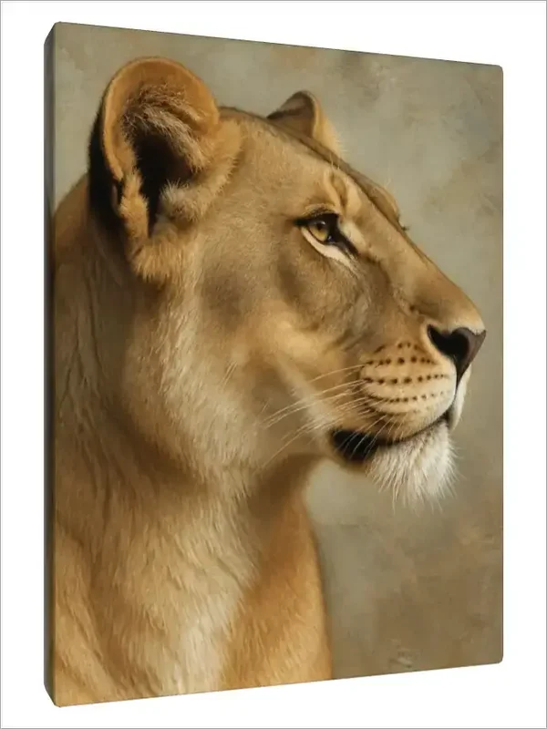 Leinwand Kunstdruck | Wildlife