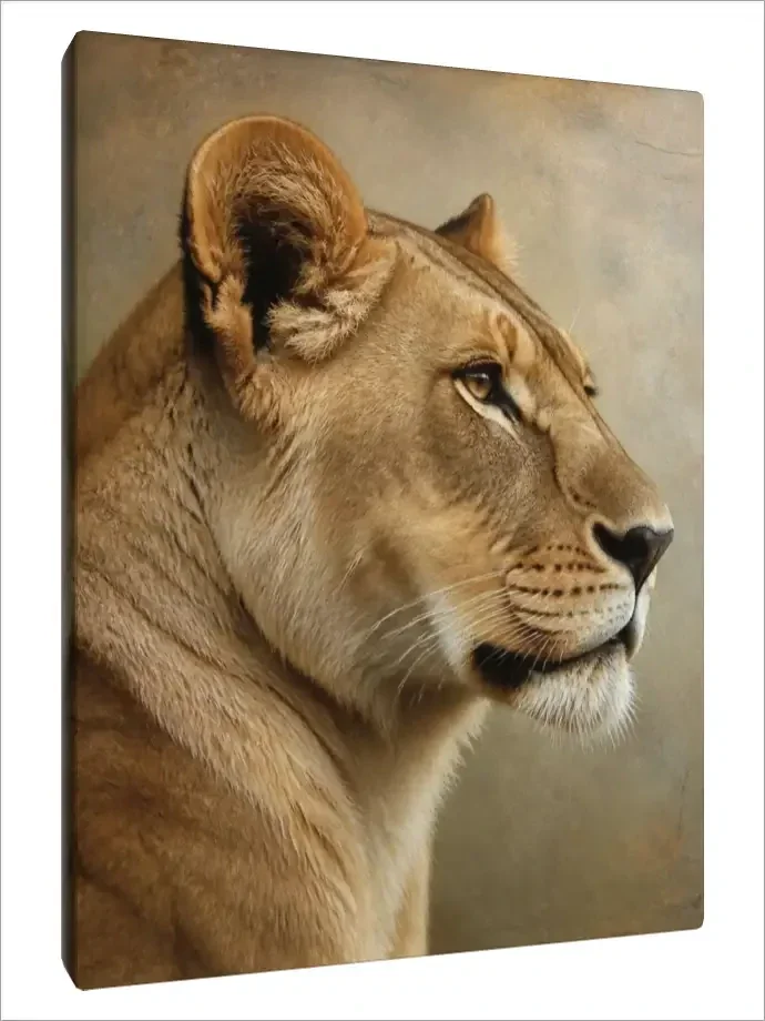 Leinwand Kunstdruck | Wildlife