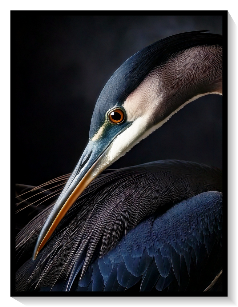 Groß Blau Reiher