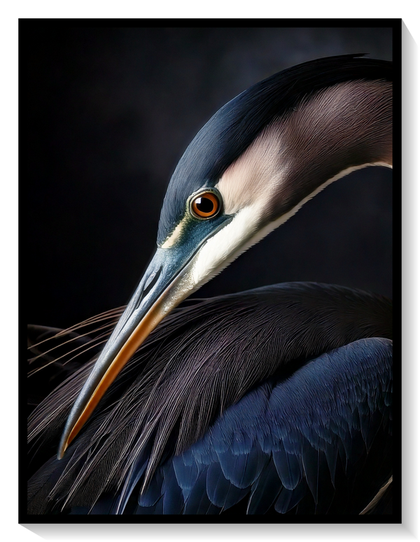 Groß Blau Reiher