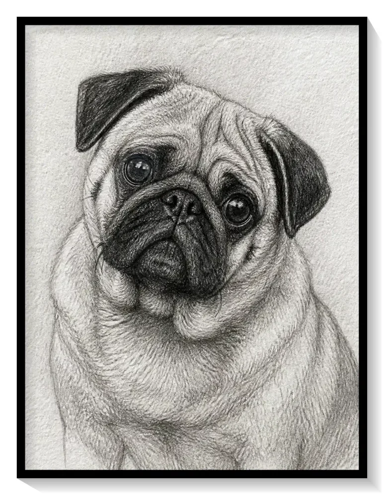 Leinwand Kunstdruck | Sketch