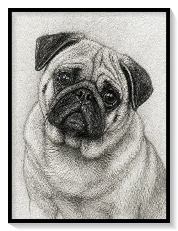Leinwand Kunstdruck | Sketch