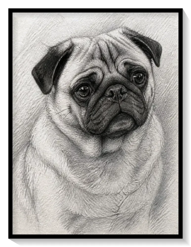 Leinwand Kunstdruck | Sketch