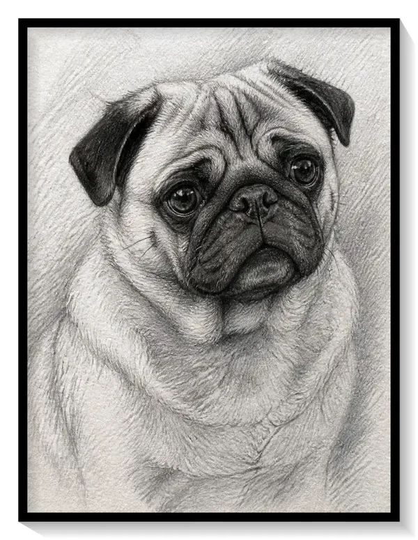 Leinwand Kunstdruck | Sketch