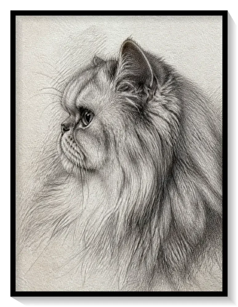 Leinwand Kunstdruck | Sketch