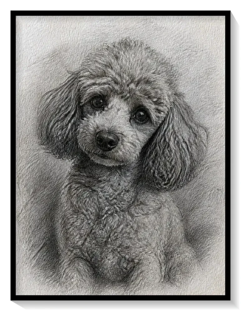 Leinwand Kunstdruck | Sketch
