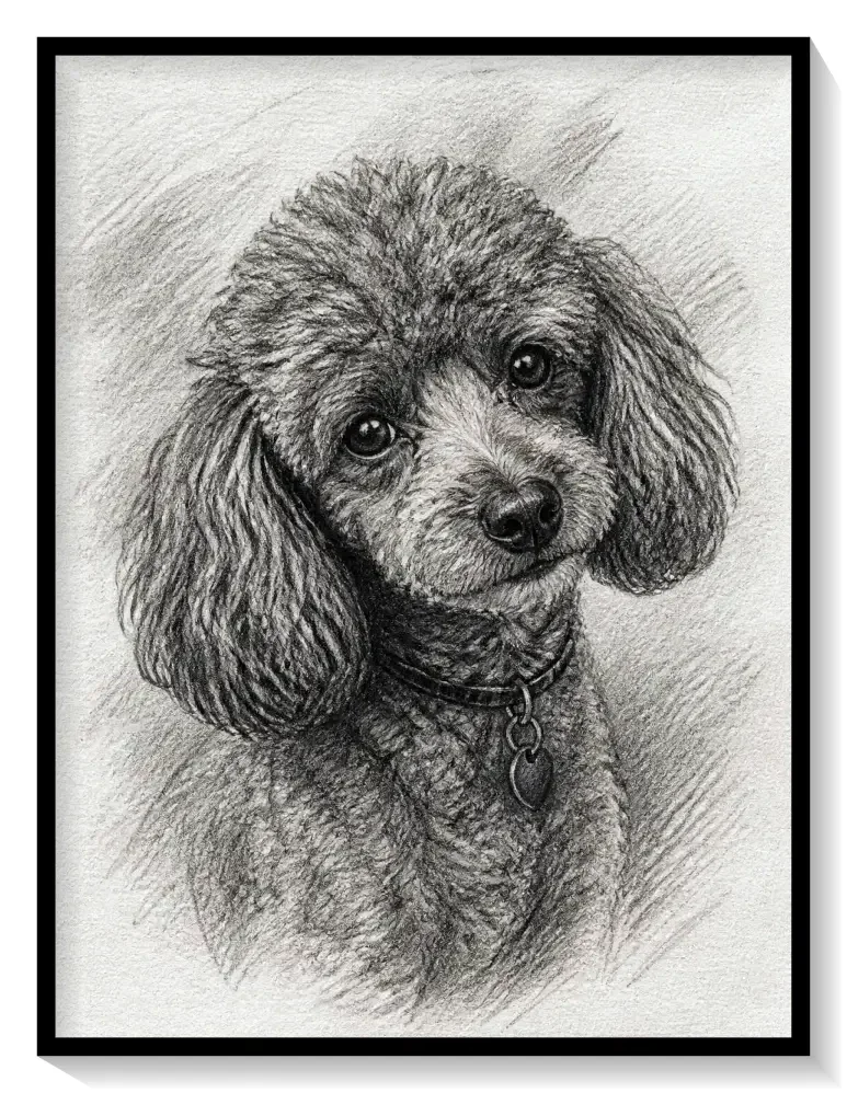 Leinwand Kunstdruck | Sketch