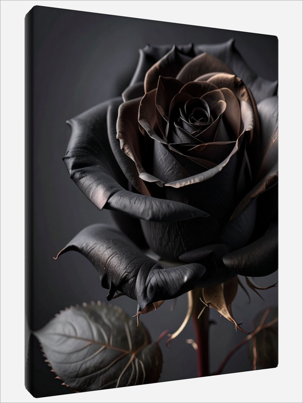 "Mystical Rose"