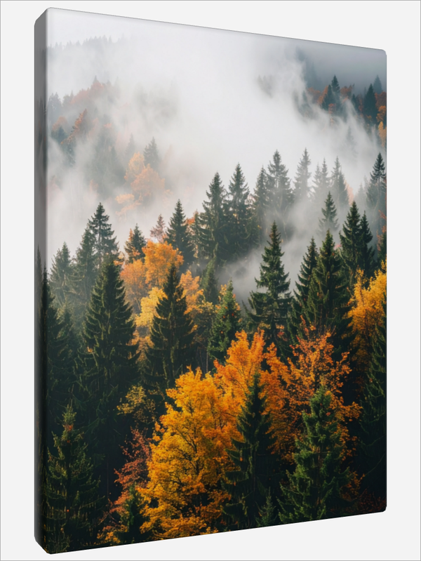 "Autumn Forest in the Fog"