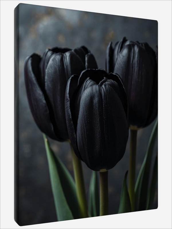 "Mysterious Black Tulip"