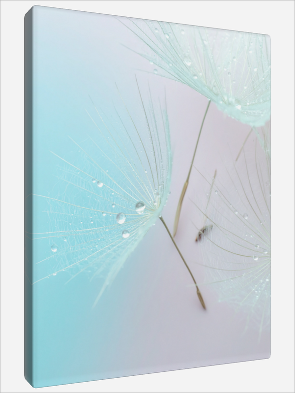 "Sparkling Dewdrops"