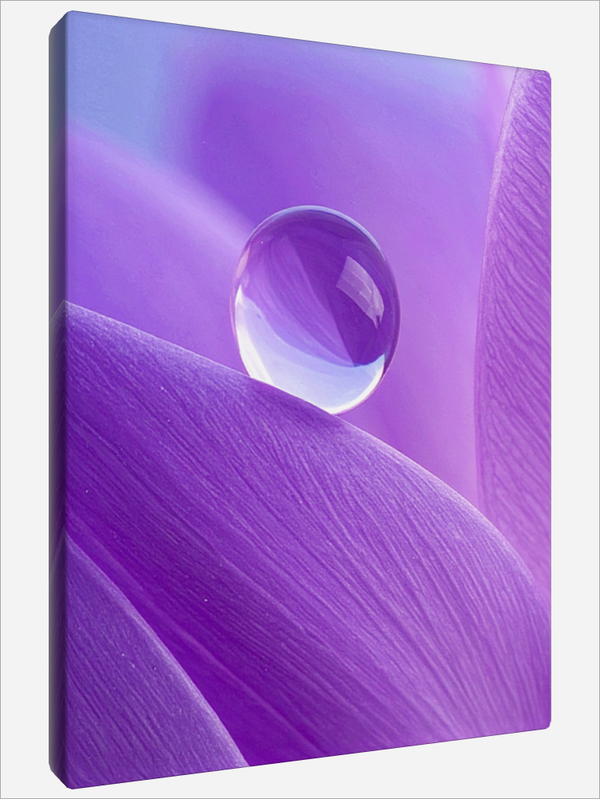 "Water Droplets"