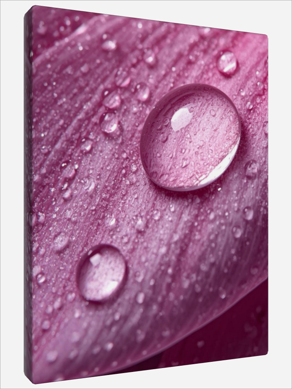 "Water Droplets"