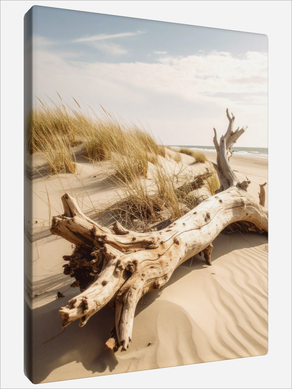 "Weathered Driftwood"