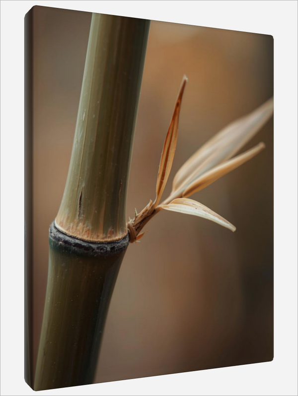 "Bamboo Pole"
