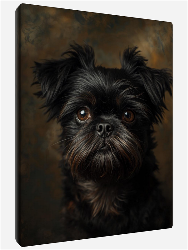 "Affenpinscher"
