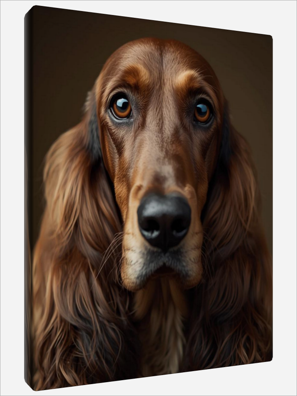 "Irish Setter"