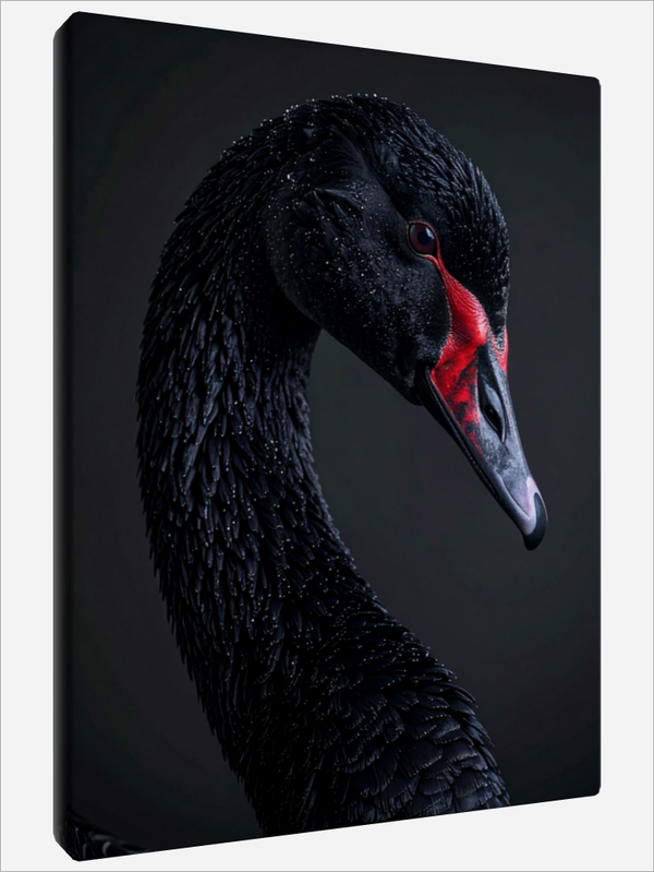 "Portrait of a Black Swan"