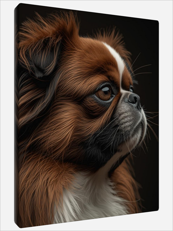 "Pekinese"