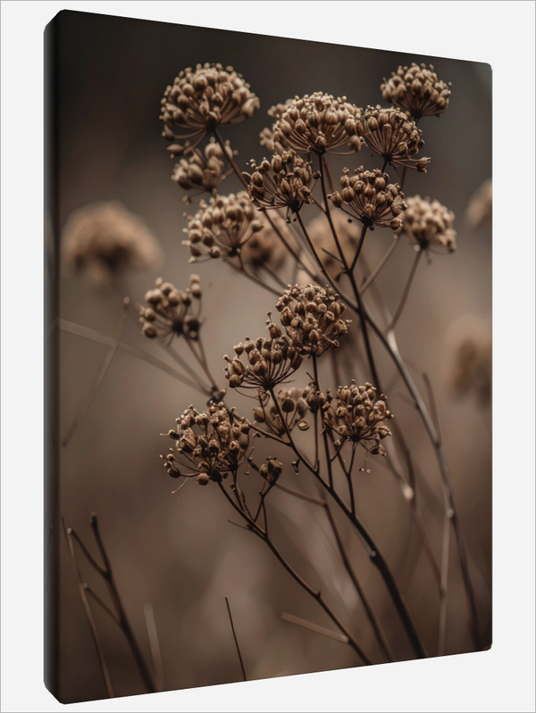 "Autumn Flowers"