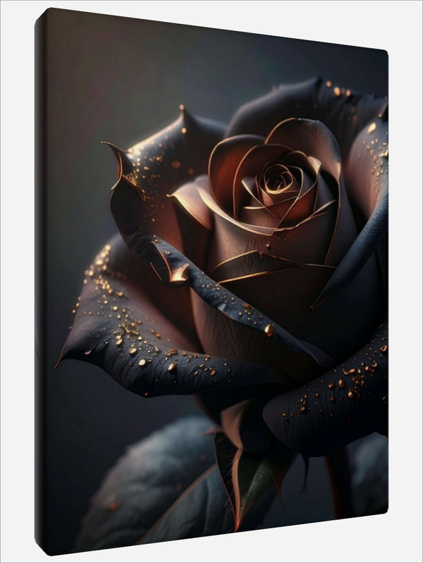 "Black Rose"