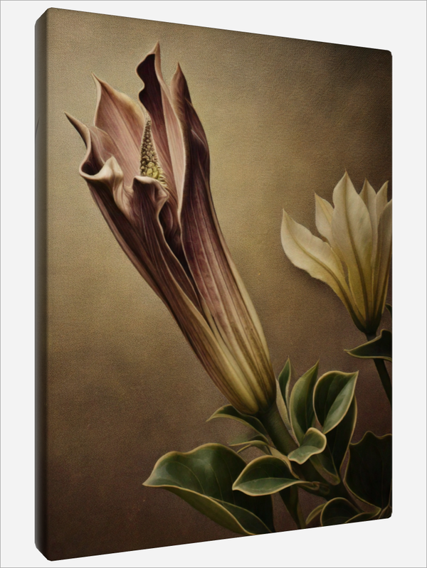 "Datura Flower"