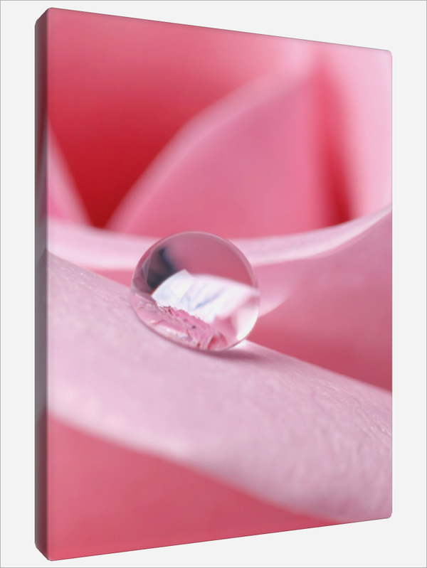 "Perfect Water Drop"