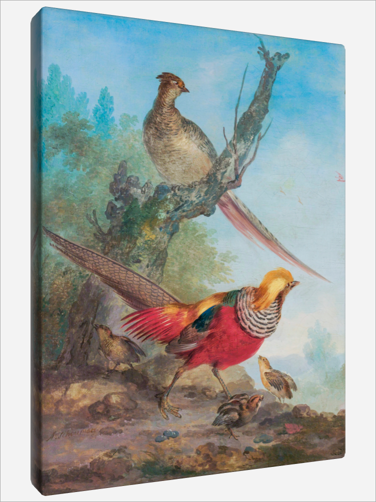 "Pheasants"