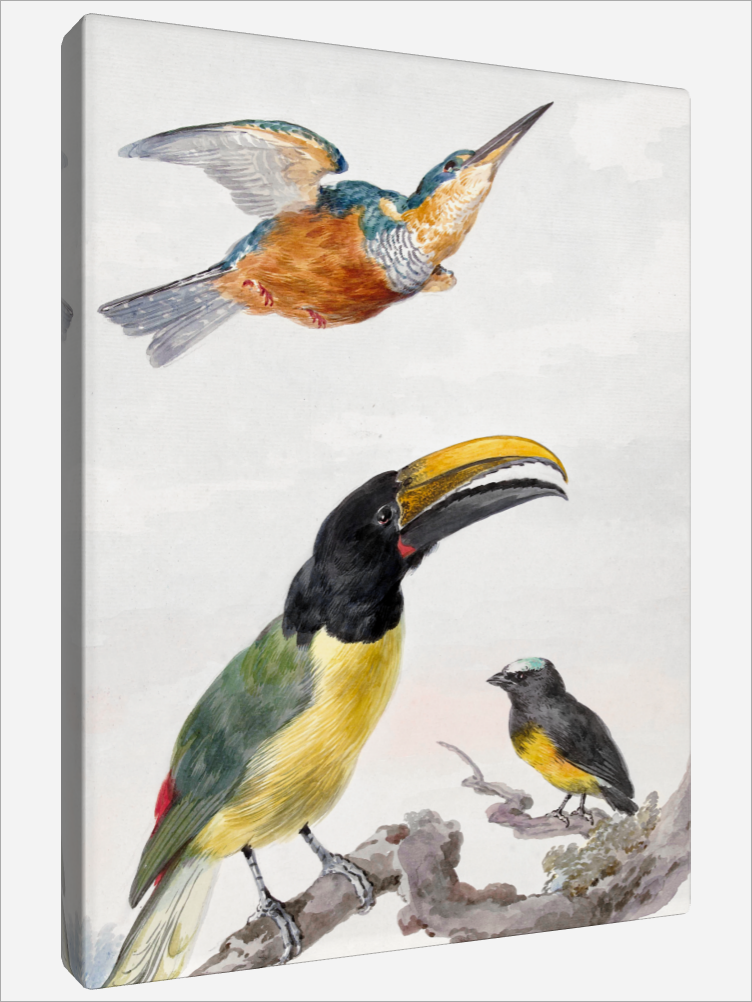 "Three Birds"