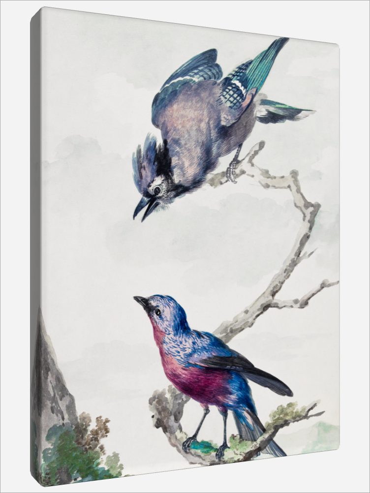 "Two Birds"