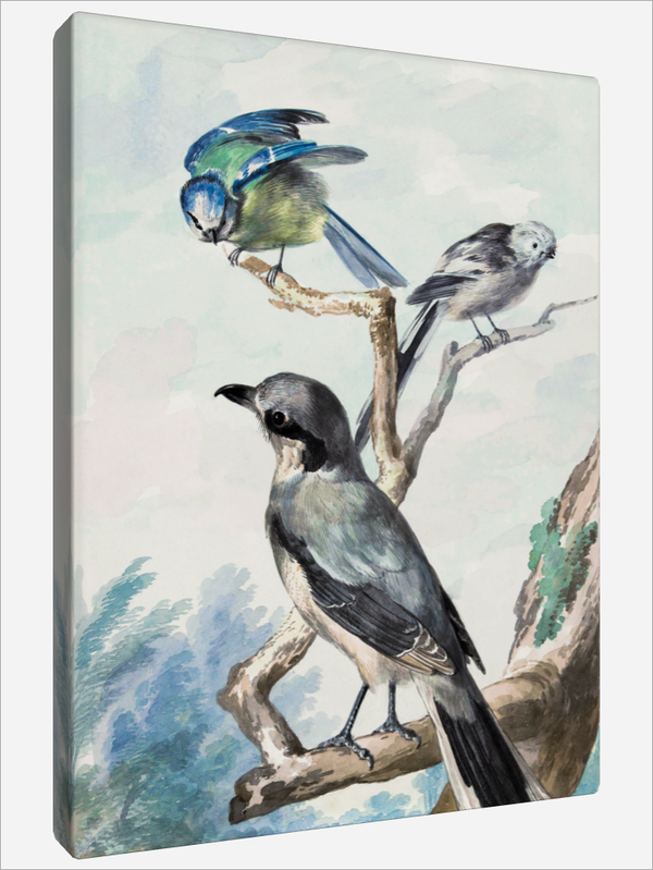 "Three Birds"