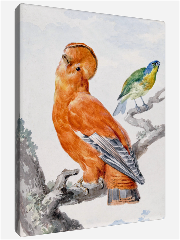 "Two Exotic Birds"