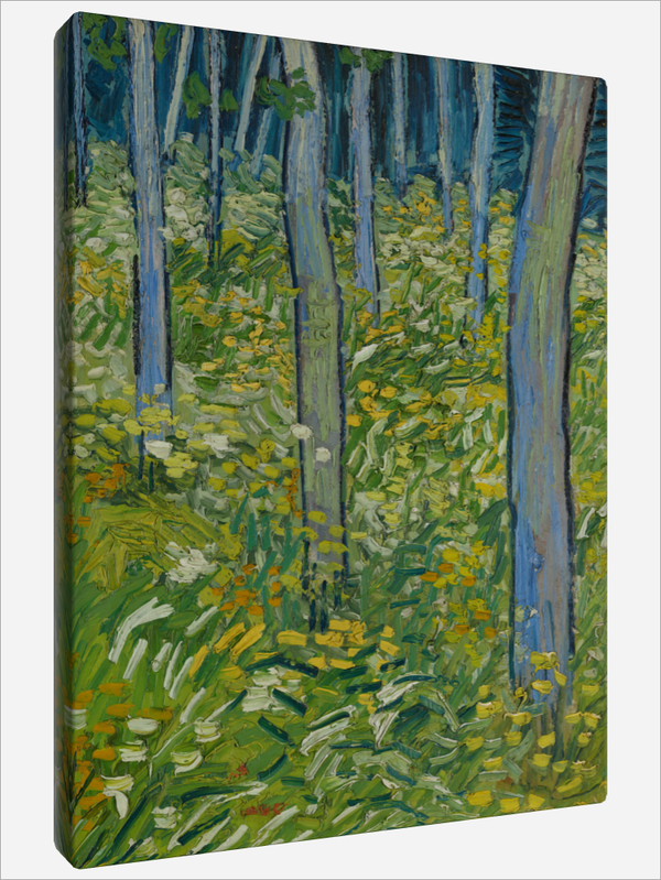"Undergrowth"